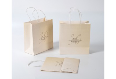 Promotional Paper Bag